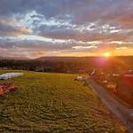 Gosciniec
